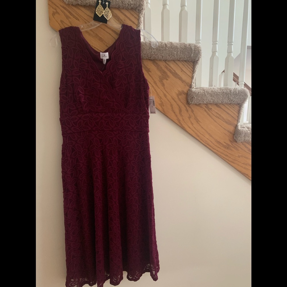 Maroon Stretch Lace Dress